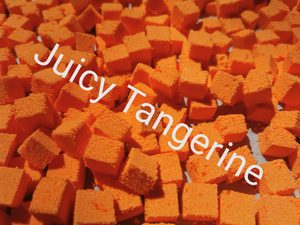 Products: Juicy Tangerine Square Embeds – Siren Molds