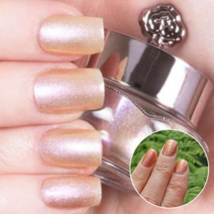 Nail Powders: Tawny - Classic Nail Powder