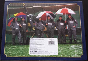 Clearance: Set of 3 Tiger Moths