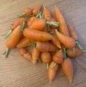 Root Vegetables: Carrots -  snack pack 250gm