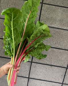 Leafy Greens: Rainbow Chard (silverbeet)