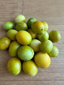 Limequat 500gm