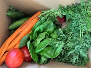 Veggie Box