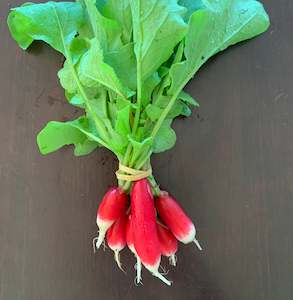 Root Vegetables: Radish - French Breakfast