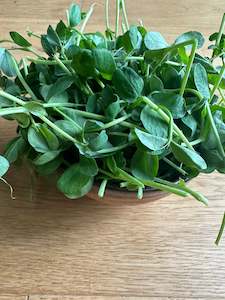Leafy Greens: Pea shoot microgreens 75gm