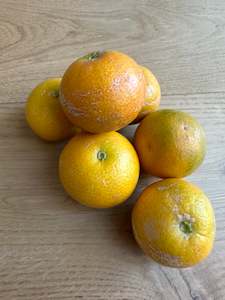 Citrus: Orangequat 500gm