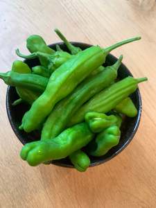 Shishito pepper - 90gm
