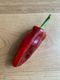 Pepper - Cornos Red each