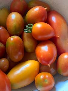 Other: Tomato - 250gm