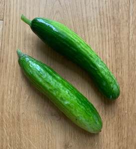 Cucumber