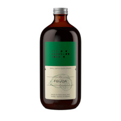 Featured: Feijoa Soda Syrup