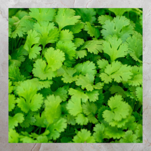 Add Ons: Coriander (80g)