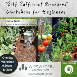 Workshop | Self Sufficient Backyard | Organic Gardening for Beginners