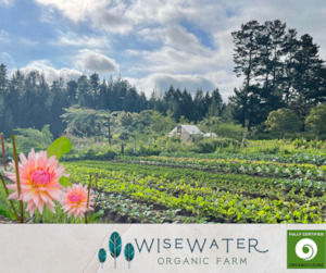 Workshops Training 2: Tour | Wisewater Organic Farm Tour