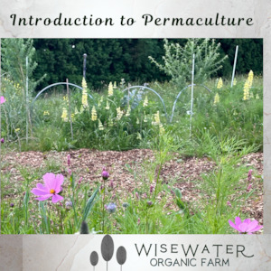 Tour | Introduction to Permaculture | Thurs 9th March |Sustainable Backyards