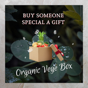 The Gift of a Box | Small & Large