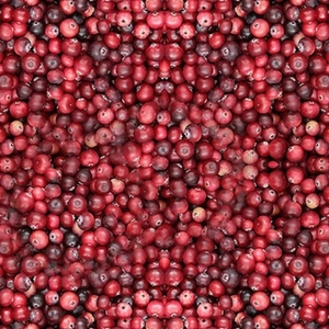Frozen: Berries Frozen Cranberries AmbeRye 300g - PICK UP ONLY