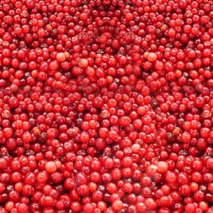 Frozen fruits & vegetables: Berries Frozen Lingonberries AmbeRye 300g. PICK UP ONLY FROM AUCKLAND SKAZKA STORE. CAN NOT BE DISPATCHED WITH COURIER