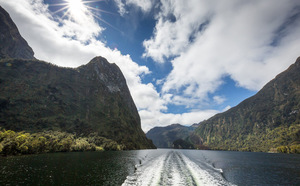 Doubtful Sound Wilderness Cruise