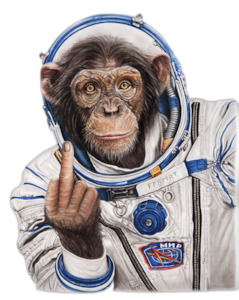 Space Monkey