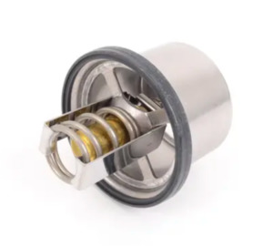 Mahle: Thermostat (79C)