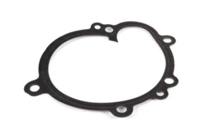 Victor Reinz: Water Pump Gasket