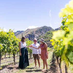 Queenstown: Wine Tour-Hilton Pick-up & Drop-off