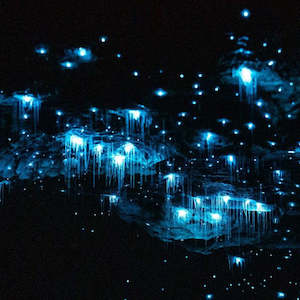 Te Anau: Te Anau Glowworm Caves