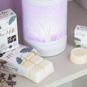Soy Wax Melt Collection: Noel Wax Melts