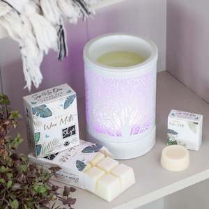 Soy Wax Melt Collection: Cool Water Type Wax Melts