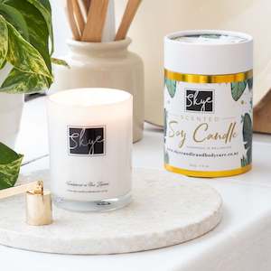 Scented Collection: All Soy Candle Collection