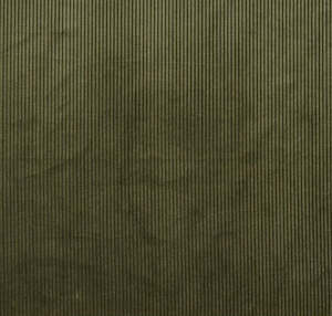 Fabric: Fabric: Moss Corduroy