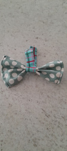 Large Bowtie Slobber Chops Dog Delights