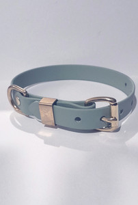 Biothane Dog Collar Small Slobber Chops Dog Delights