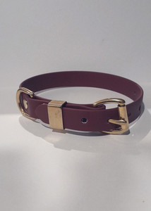 Biothane Dog Collar Small Slobber Chops Dog Delights