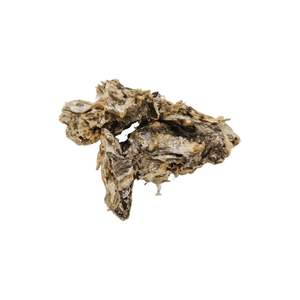 Smack Bang | Hoki Skin