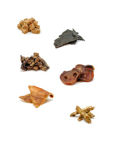 Smack Bang | Deli Puppy Pack (Deluxe)