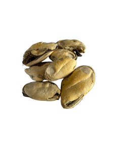 Smack Bang | Green Lipped Mussels (New)