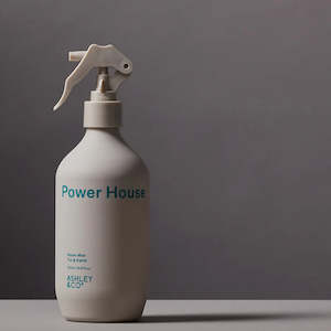 Ashley & Co Power House Room Mist | Tui & Kahili