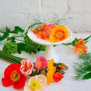 Pip Woods Puffball Pedestal Dish | 08