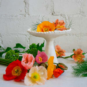 Pip Woods Puffball Pedestal Dish | 06