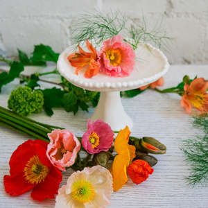 Pip Woods Puffball Pedestal Dish | 05