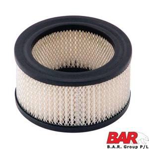Air Filter Element (Suits - Cos 3090-30)