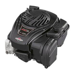 Briggs & Stratton 550Ex Series™ (7/8 Shaft)