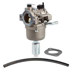 Briggs & Stratton 594593 Carburetor