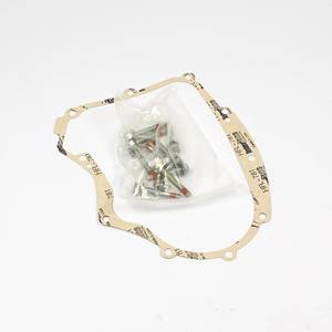 Briggs Stratton Pre Season 2023 Sale: Briggs & Stratton Crankcase Gasket Kit 594195