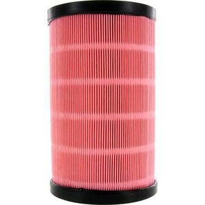 Automotive Filters Fluids: Proselect PSA554 Air Filter – Fits Holden Colorado, Trailblazer, HSV SportsCat, BMW 440i, Chevrolet Trailblazer