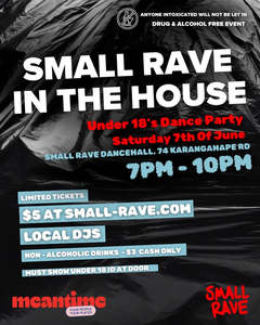 SMALL RAVE In The House