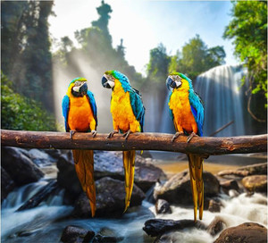 Products: Blue-and-Yellow Macaw Smart Art Design