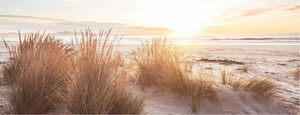 Products: Beautiful Sunset at the Ocean Beac Smart Art Design